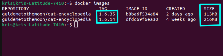 Screenshot image size comparison for ASP.NET Cat Encyclopedia application before and after Chiseled Ubuntu Containers