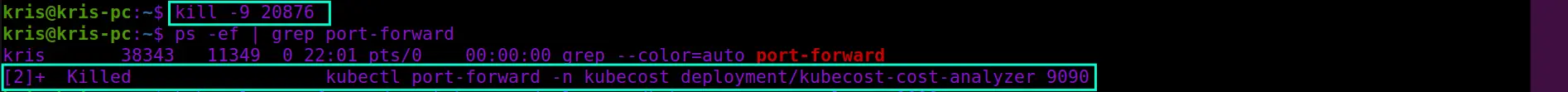 Screenshot of the kill command output that terminated the process holding an orphaned port from being cleaned up