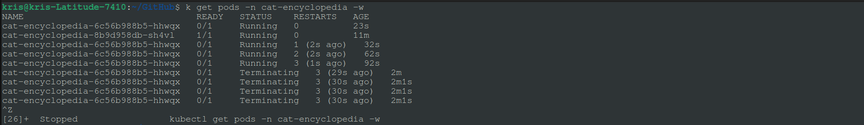 Screenshot of helm upgrade command with –atomic parameter